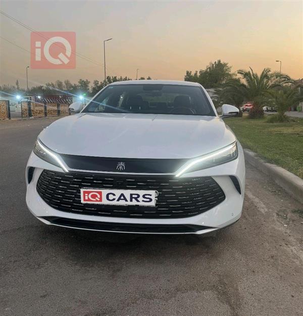 بي واي دي كوين L DM-i 2024 للبيع في العراق -  بغداد